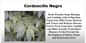 Screenshot_7.png